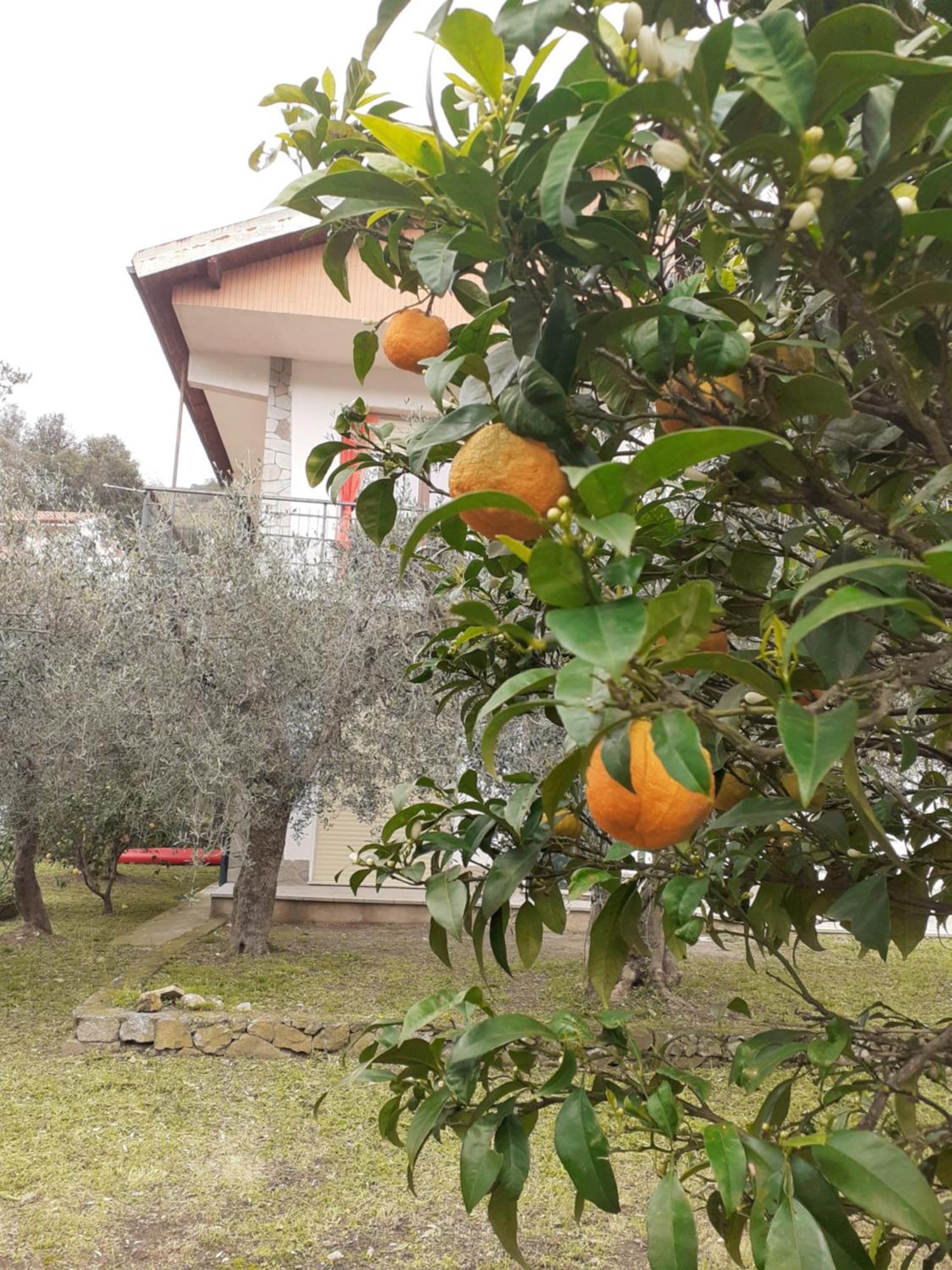 Casetta Al Mare Giustenice Εξωτερικό φωτογραφία