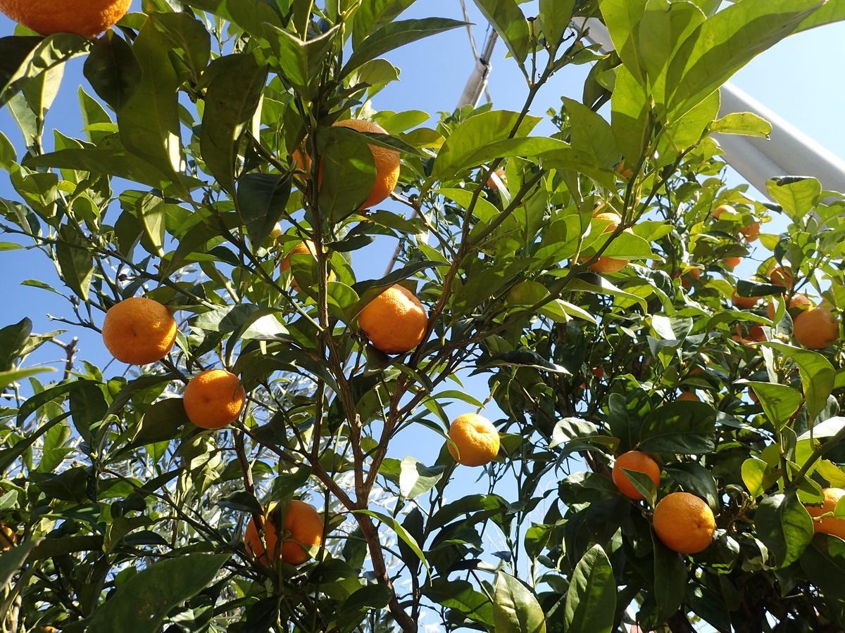 Casetta Al Mare Giustenice Εξωτερικό φωτογραφία